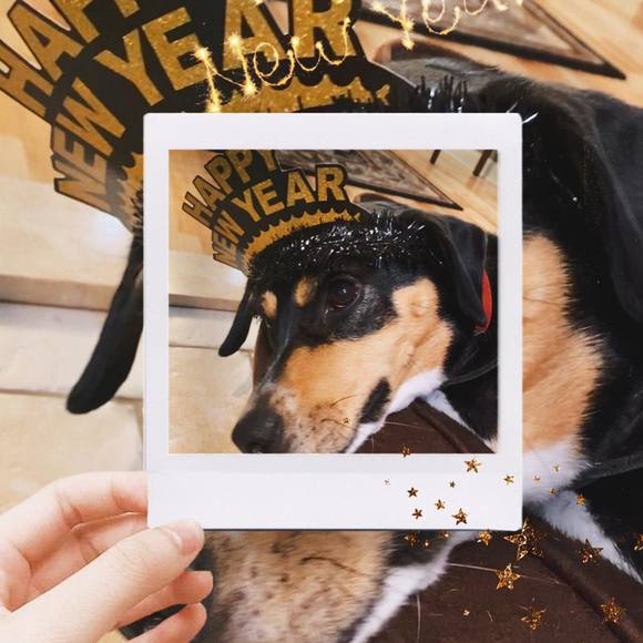 Meet your Posher, Delia - Picture 1 of 1